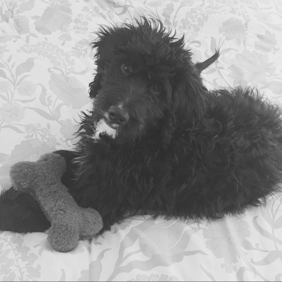 Meet your Posher, Jennifer - Picture 7 of 7